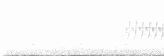 Junco ardoisé (groupe oreganus) - ML617210160