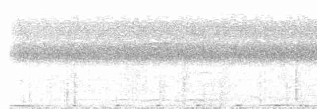 holub stromový - ML617210976