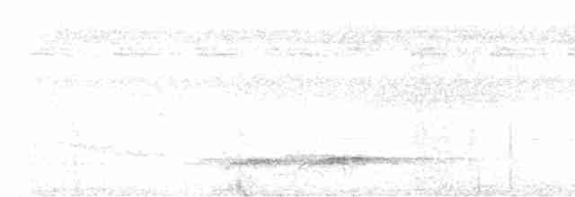 Doğulu Kara Başlı Pitta (novaeguineae/goodfellowi) - ML617211049