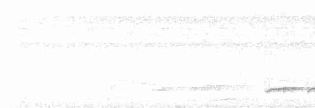Doğulu Kara Başlı Pitta (novaeguineae/goodfellowi) - ML617211050