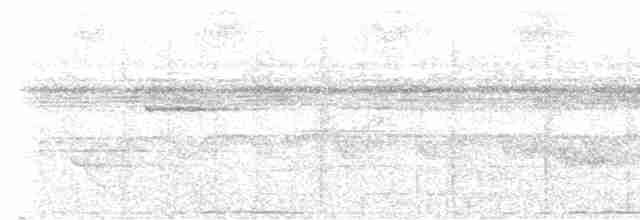 Oniki Telli Cennetkuşu - ML617211152