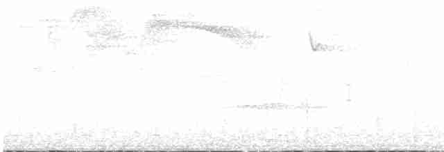 Тиран-малюк омеловий - ML617211181