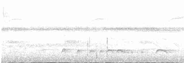 Сероголовая пиприта - ML617211351