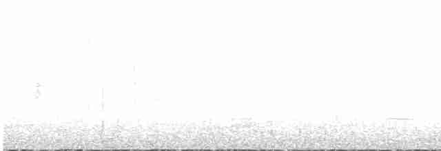 Rotmantel-Ameisenwächter - ML617211410