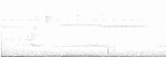 Grand Tinamou - ML617211482