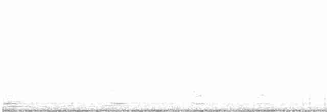 Turuncu Ardıç - ML617211698