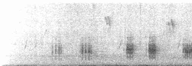 Great Reed Warbler - ML617214445