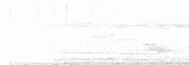 Жемчужноглазый пересмешник - ML617214765