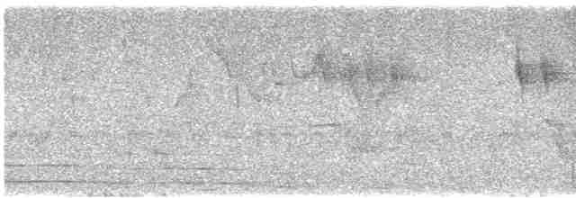 Gray Wagtail - ML617215790