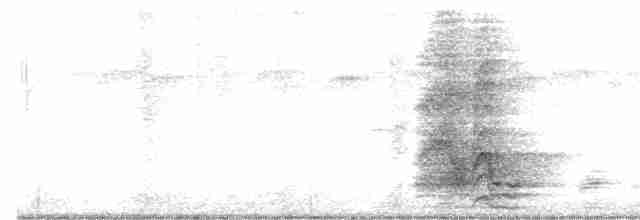 Сверкающий дронго - ML617216299