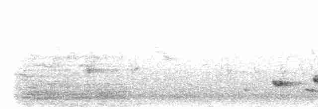 Light-vented Bulbul (formosae/orii) - ML617216594