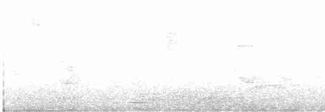 Белый дятел - ML617219274