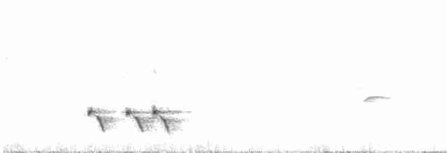 Streifenpanthervogel - ML617220026