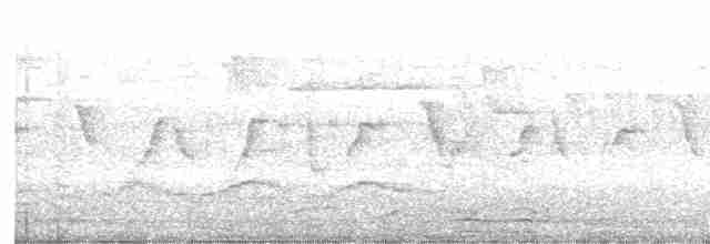 Common Chiffchaff (Siberian) - ML617220114