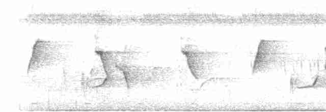 Коричневогорлая нектарница - ML617220291