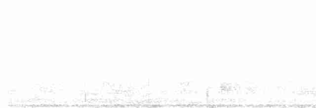 Paruline à croupion jaune (auduboni) - ML617220382