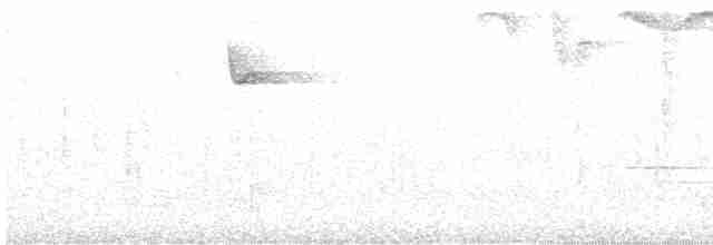 Kahverengi Tepeli Çalı Serçesi - ML617220743