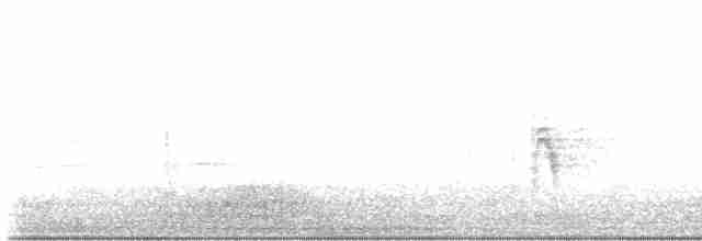 Омелюх звичайний - ML617222828
