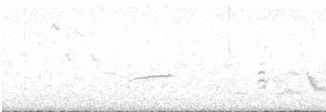 Western Orphean Warbler - ML617223241