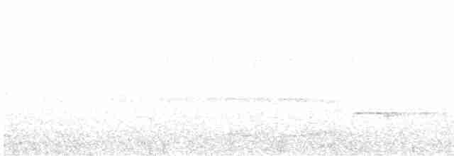 Silky-tailed Nightjar - ML617223486