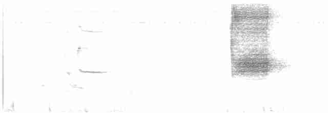 Loggerhead Shrike - ML617224536