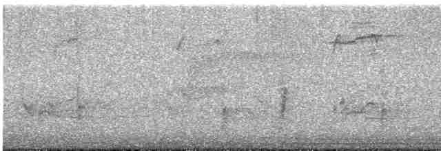 Ring-necked Pheasant - ML617224897