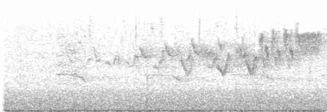 Cerulean Warbler - ML617224910