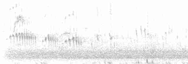 ニシヒメアマツバメ - ML617225333