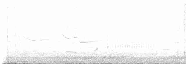 Eastern Meadowlark (Eastern) - ML617226094