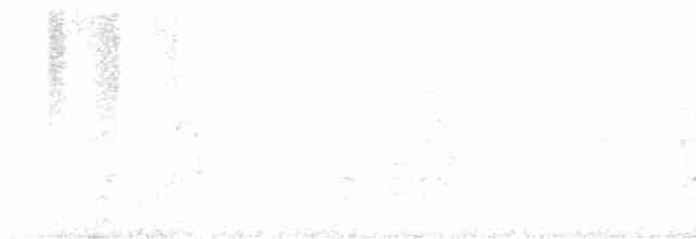 rorýs bělokrký - ML617227655