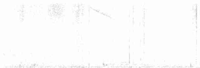 Stripe-crowned Spinetail - ML617227717
