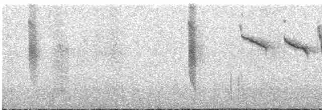 Colibrí Cometa - ML617228163