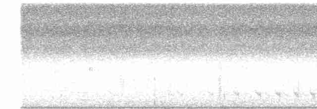Black-headed Trogon - ML617234456