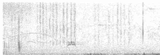 European Bee-eater - ML617235121
