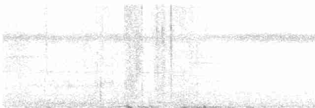 Turuncu Gagalı Bülbül Ardıcı - ML617236597