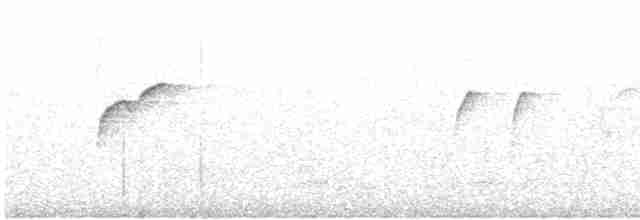 Batı Amerika Sinekkapanı (occidentalis/hellmayri) - ML617241929