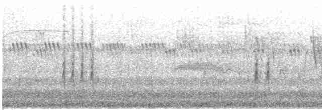Oriole des vergers - ML617242313