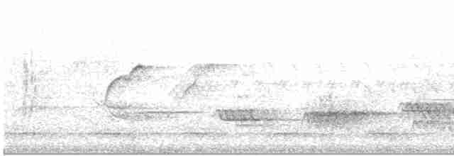Batı Amerika Sinekkapanı (occidentalis/hellmayri) - ML617243178