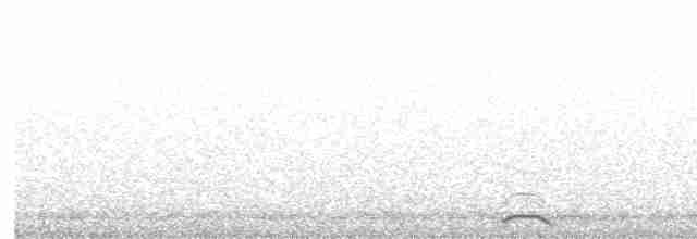 Cygne siffleur - ML617244571
