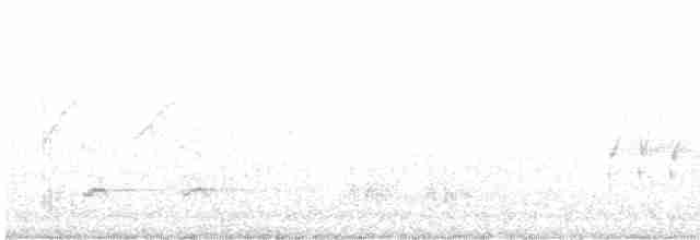 Rotspottdrossel - ML617246055