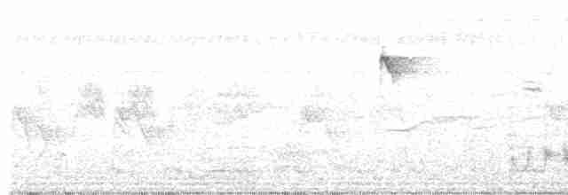 Синеухий зимородок - ML617247288