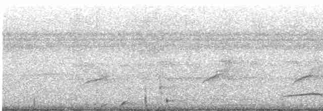 Тиран-плоскодзьоб малий - ML617247920