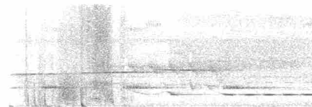 Kara Boğazlı Çalı Timalyası - ML617249279