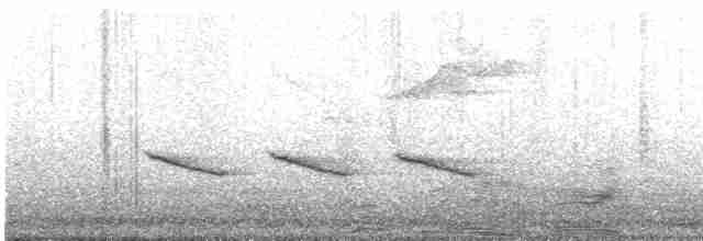 Kara Tepeli Baştankara - ML617249738