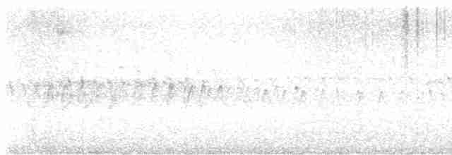 Серпокрилець білочеревий - ML617249760