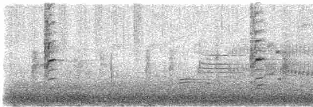 Carouge à épaulettes (groupe phoeniceus) - ML617251269
