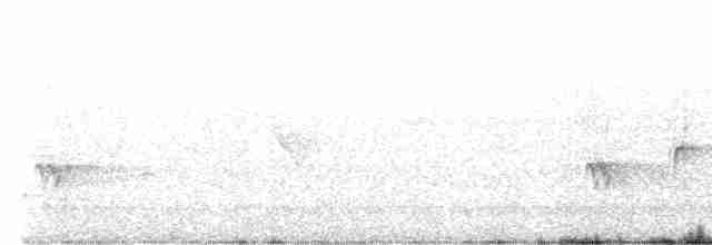 svartbylbyl (leucocephalus gr.) - ML617251475