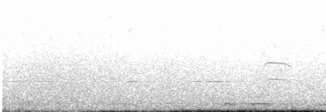 Büyük Kiskadi Tiranı - ML617251640