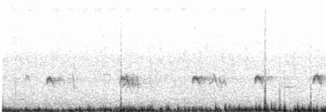 Синехвостая щурка - ML617251769