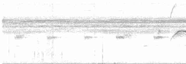 Weißschwanz-Nachtschwalbe - ML617252453